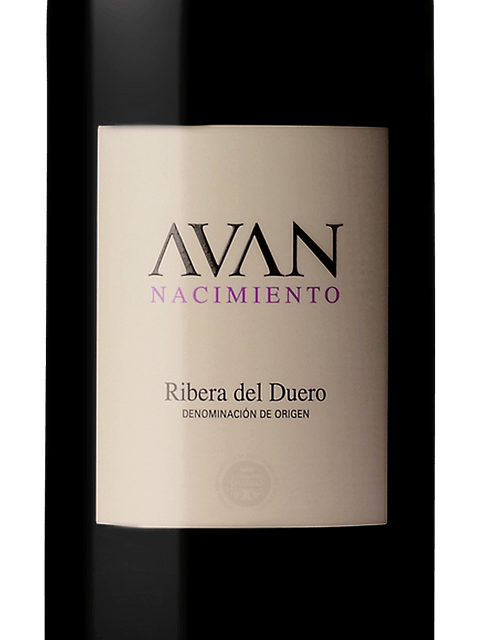 Juan Manuel Burgos Avan Nacimiento 2010