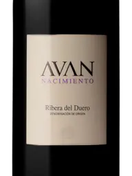 Juan Manuel Burgos Avan Nacimiento 2010