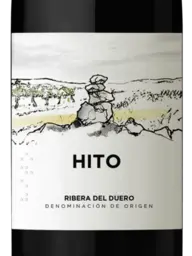 Cepa 21 Hito 2019