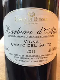 Costa di Bussia - Tenuta Arnulfo Barbera d'Alba Campo del Gatto 2021