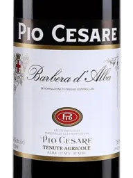 Pio Cesare Barbera d'Alba 2021