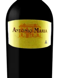 Francisco Nunes Garcia António Maria 2015