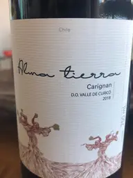 Villaseñor Alma Tierra Carignan 2018
