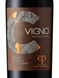 Casas Patronales Vigno Vignadores de Carignan Old Vines 2020