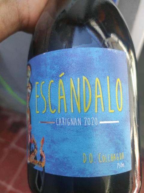 Escandalo Carignan 2020