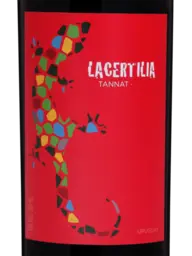 Braccobosca Lacertilia Tannat 2021