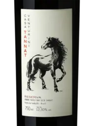 Casa Venturini Réserva Tannat