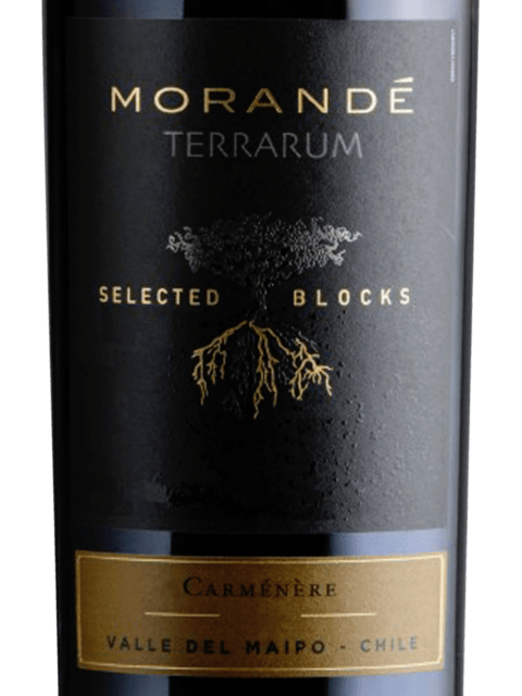 Morandé Terrarum Selected Blocks Carménère