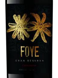 Foye Gran Reserva Carmenere 2022