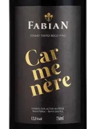 Fabian Carménère 2020