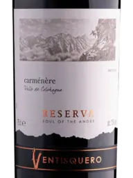 Ventisquero Reserva Carménère 2022