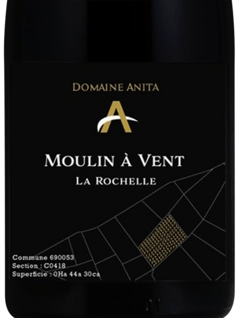 Domaine Anita La Rochelle Moulin à Vent 2022