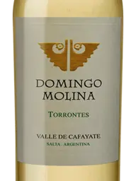 Domingo Molina Torrontés 2022