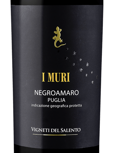 Vigneti del Salento Negroamaro I Muri 2021