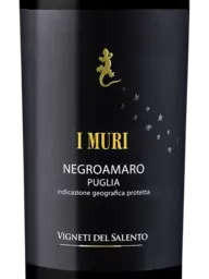 Vigneti del Salento Negroamaro I Muri 2021