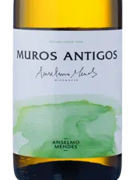 Anselmo Mendes Muros Antigos Loureiro 2020