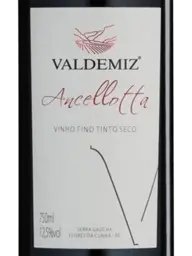 Valdemiz Ancellotta 2020