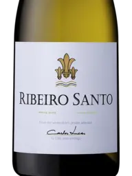 Ribeiro Santo Branco 2021