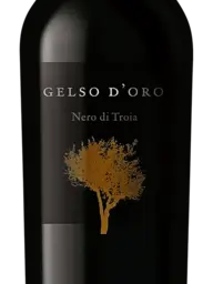 Podere 29 Gelso d'Oro Nero di Troia 2019