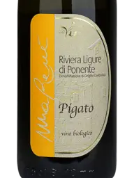 Vio Giobatta - BioVio Ma René Pigato Riviera Ligure di Ponente 2022