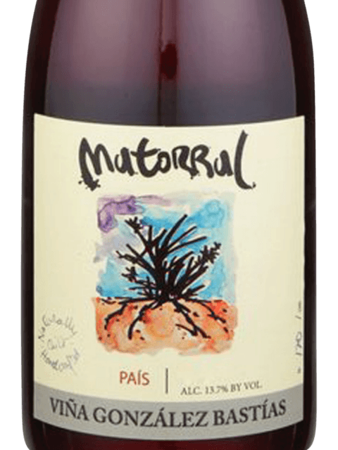 Viña González Bastías Matorral País 2019