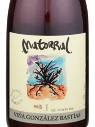 Viña González Bastías Matorral País 2019