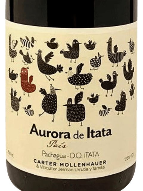 Carter Mollenhauer Aurora de Itata Pais