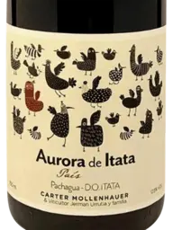 Carter Mollenhauer Aurora de Itata Pais 2020