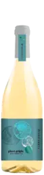 Terre Di Rai Pinot Grigio