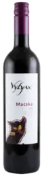Vylyan Macska Portugieser