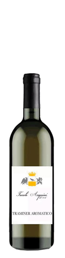 Tacoli Asquini Traminer