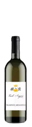 Tacoli Asquini Traminer
