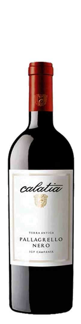 Calatia Pallagrello Nero