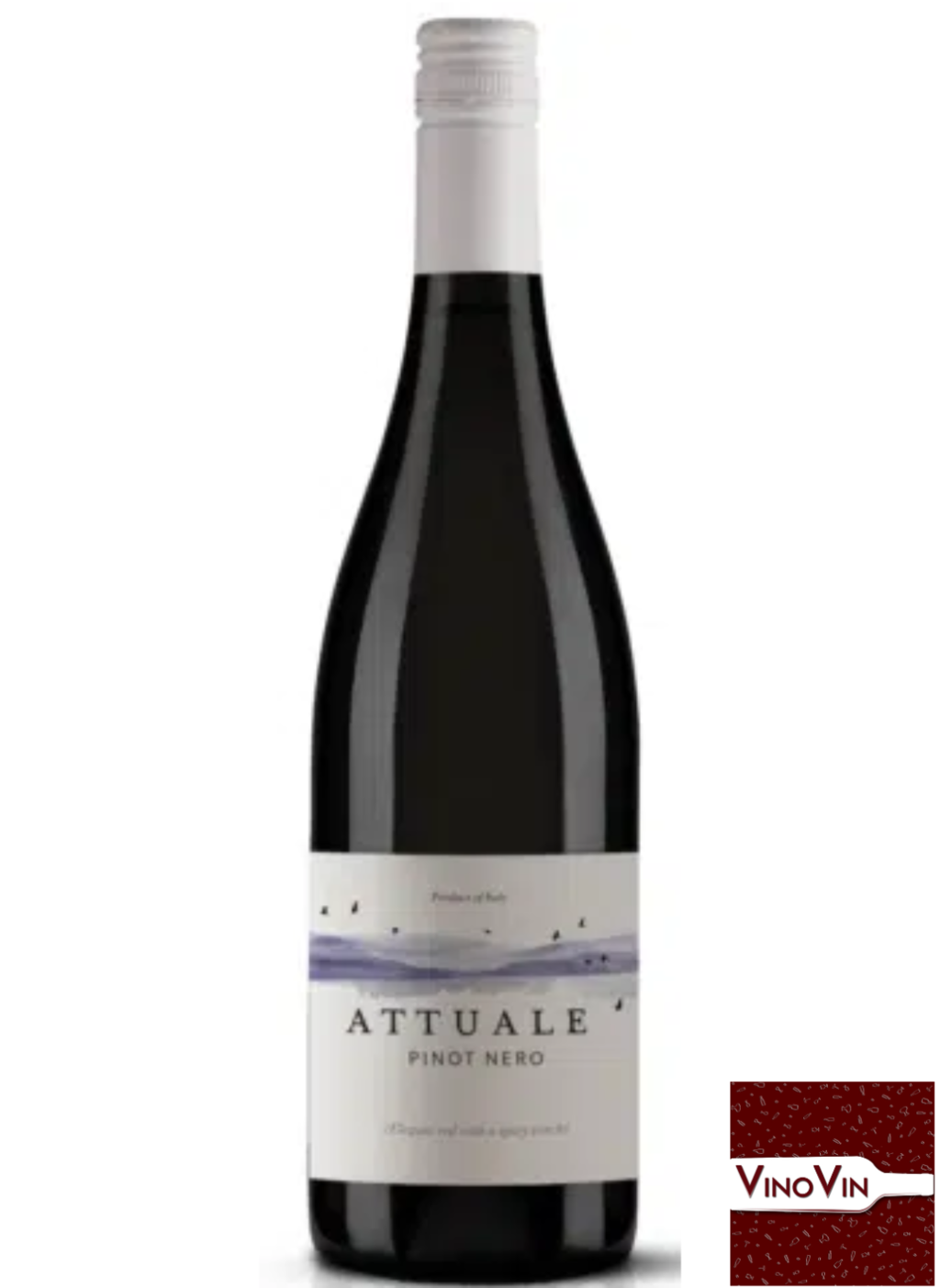 Vinho Attuale Pinot Noir Veneto IGT 2022 - 750 ml